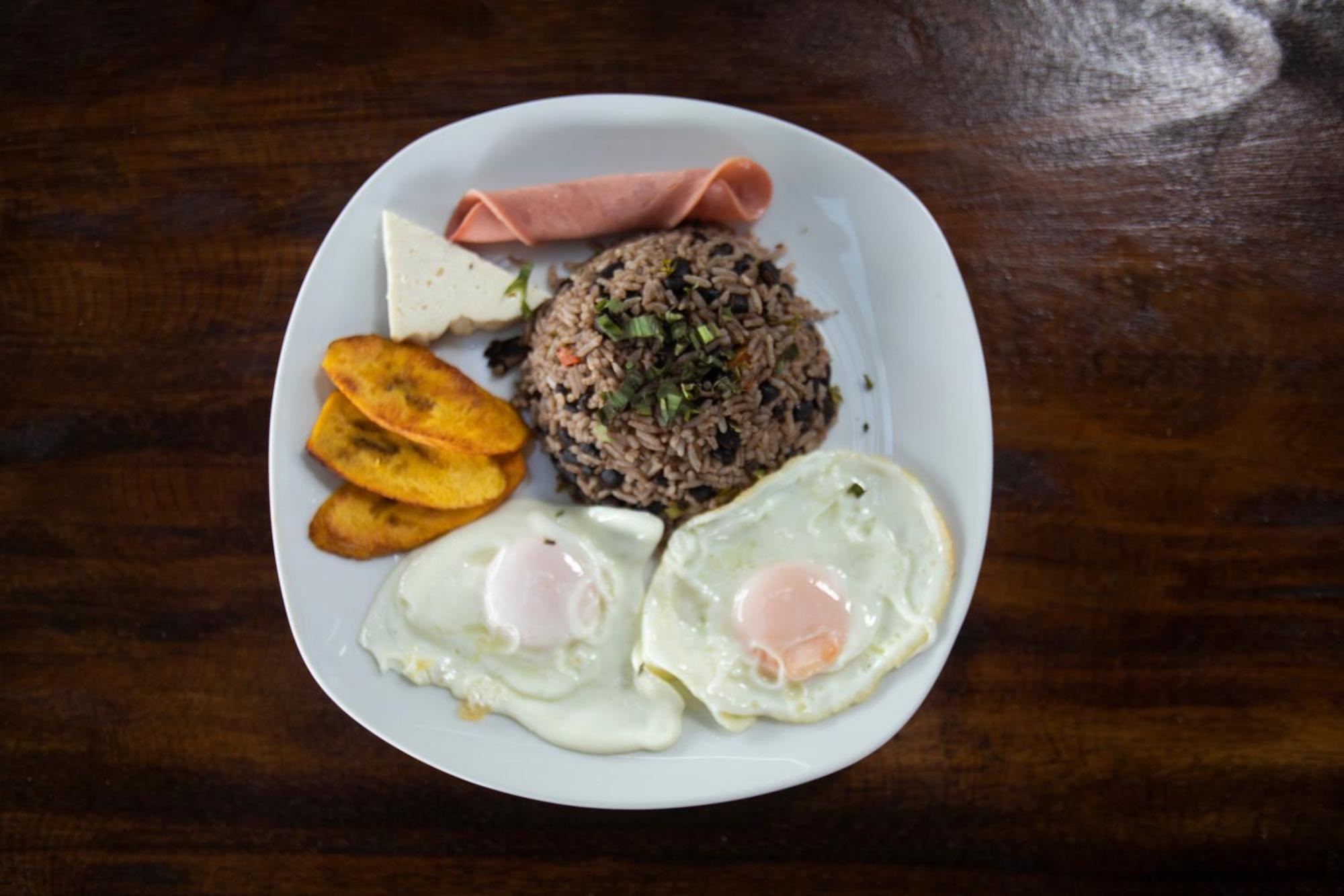 Hotel Pura Natura Beachfront Tortuguero Eksteriør billede